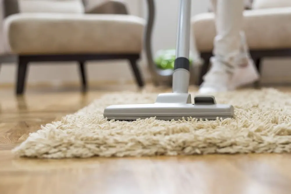 Same-Day Carpet Cleaning in Melton