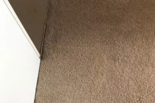 Carpet Cleaning in Melton