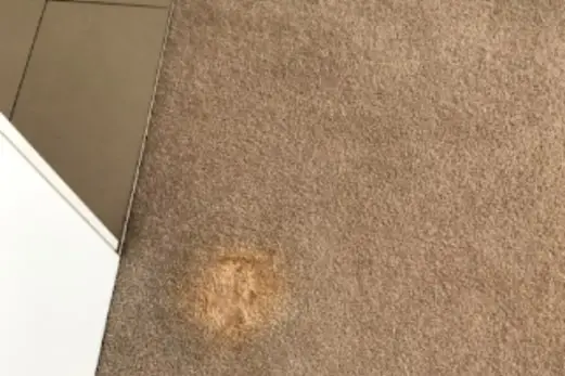 Carpet Cleaning in Melton